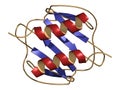 CXCL1 cytokine (AKA melanoma growth-stimulatory activity), chemical structure. Implicated in the pathogenesis of melanoma skin