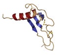 CXCL1 cytokine (AKA melanoma growth-stimulatory activity), chemical structure. Implicated in the pathogenesis of melanoma skin