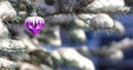 Cyan Christmas tree covered in Snow and decorated with purple heart for an Outdoor celebration on Winter day. Postcard