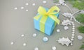 A cyan gift box on grey background with gemstone and Oriental arborvitae branches.