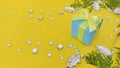 A cyan gift box on yellow background with Oriental arborvitae, gemstone and silver leaves decorations. Royalty Free Stock Photo