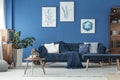 Cyan living room Royalty Free Stock Photo