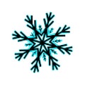 Snow flake illustration