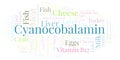 Cyanocobalamin word cloud. Royalty Free Stock Photo