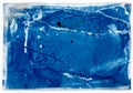 cyanotype historical photographic process with leaf texture