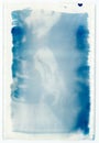 cyanotype historical photographic process with leaf texture