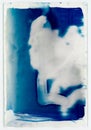 cyanotype historical photographic process with leaf texture