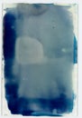 cyanotype historical photographic process with leaf texture