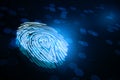 Cyber security and biometric data concept with perspective view on digital human illuminated fingerprint on abstract dark