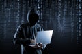 Cybercrime, hacking and technology crime.
