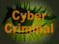 Cybercriminal Internet Hack Or Breach 2d Illustration