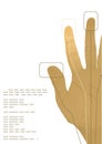 The cybernetics hand