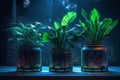 cyberpunk three pots of plants on the board generative AI