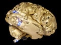A cyberpunk type robotic brain