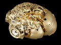 A cyberpunk type robotic brain