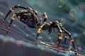 Cybersecurity Robotic Spider Network Threat Digital Security System