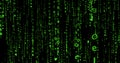 Cyberspace with falling green digital lines, binary hanging chain, abstract background Royalty Free Stock Photo