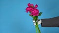 Cyborg businessman in a suit with a bouquet of roses. Gray mechanical hand holds a bouquet of flowers close-up on a blue