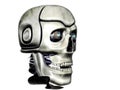 Cyborg Royalty Free Stock Photo