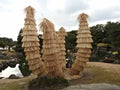 Cycads in Rice Straw at Ninomaru Garden, Nijo Castle, Kyoto, Japan Royalty Free Stock Photo