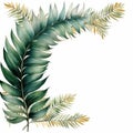 Cycas Leaf isolated on white background Royalty Free Stock Photo