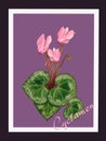 Cyclamen watercolor greeting card