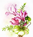 Cyclamens. Watercolor painting.