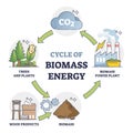 Cycle of biomass energy as direct combustion in power plant outline diagram