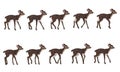 Spotted deer`s walking cycle for animation. Steps of deer cub.