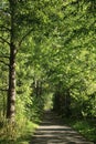 Cycle and footpath on old railway line Lancaster Royalty Free Stock Photo