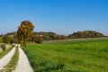 Cycle path and trees in autumn colors long Romantic Road, Germany 2