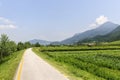 Cycle lane of the Adige valley Royalty Free Stock Photo