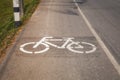 Cycle Lane with Cyclist Royalty Free Stock Photo