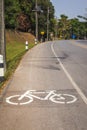 Cycle Lane with Cyclist Royalty Free Stock Photo