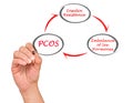 Cycle leading to PCOS Royalty Free Stock Photo