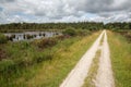 Cycle path in Dutch national park with forest and wetlands