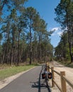 Cycle Path, Landes, France 2