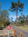 Cycle Path, Landes, France 3