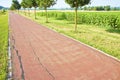 Cycle path in tuscany countryside (Italy - Pisa - Peccioli