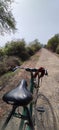 Cycle rickshaw in Bharatpur Bird Sanctuary