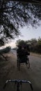 Cycle rickshaw in Bharatpur bird sanctuary or Keoladeo National Park