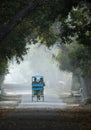 Cycle Rickshaw in Misty weather at Bharatpur Bird Sanctuary,Rajasthan,India