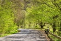 Cycle ride. Spring cycling. Green trees and grass around. Outdoor activities. The guy stopped to rest. A road with falling shadows