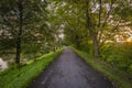 Cycle route with green sumer trees in fresh sunrise morning