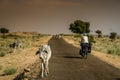 Cycle touring in India