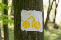 Bicycle trail pointer