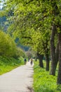 Cycle-track and walking-trail along the Kinzig River