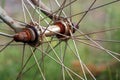 Cycle wheel hub Royalty Free Stock Photo