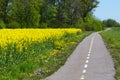 Cycleway by spring Royalty Free Stock Photo