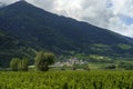 Cycleway of the Venosta valley, Oris